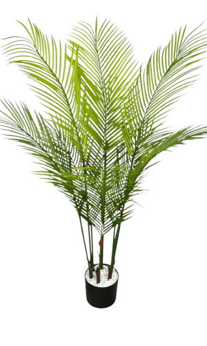artificial plants arragements for home decor in raipur