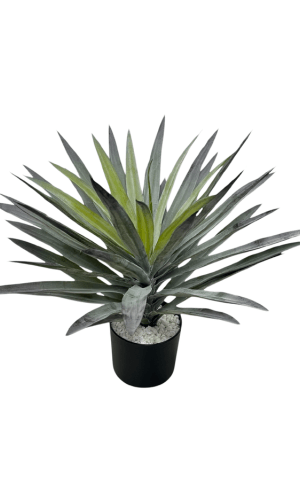 artificial plants arragements for home decor in raipur