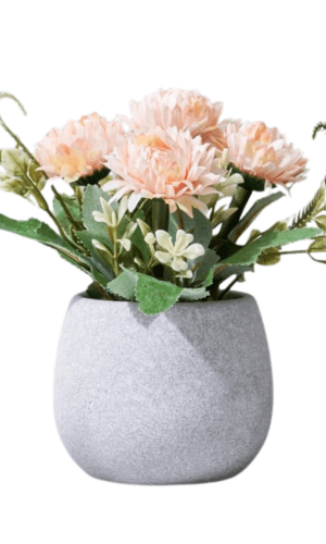 artificial plants arragements for home decor in raipur