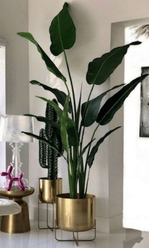 Untitled design (36)