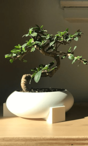 Untitled design (66)